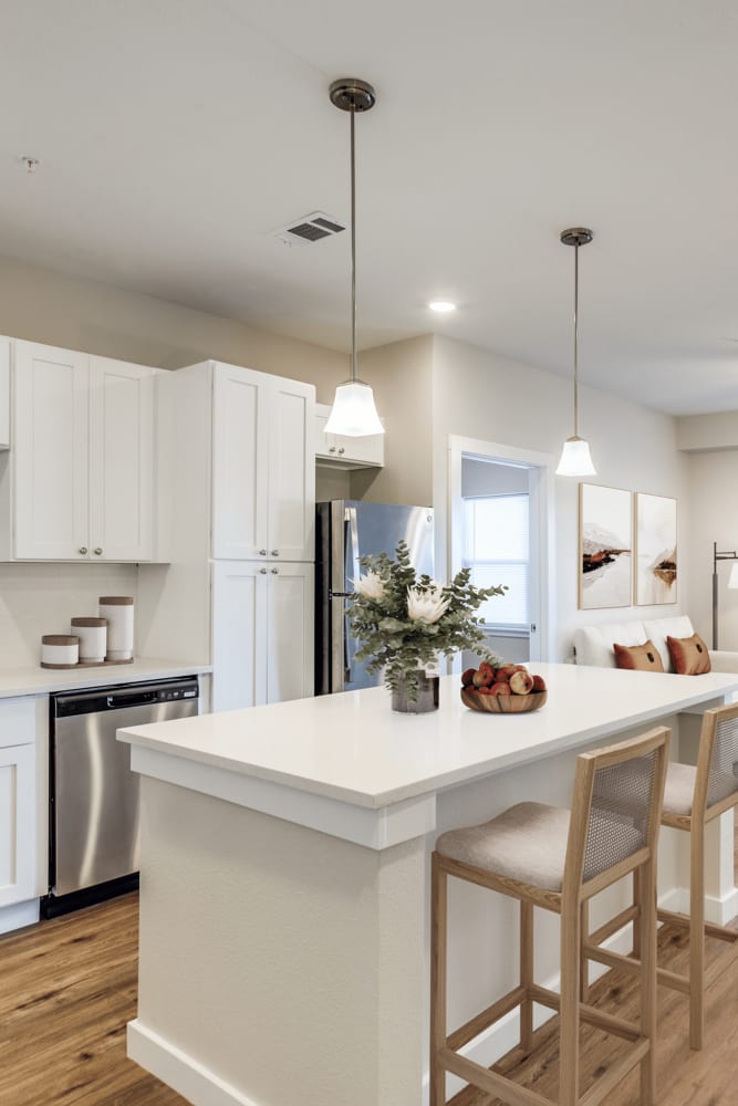 Kitchen with stainless-steel appliances at The Trail Lakes in Fort Worth, Texas