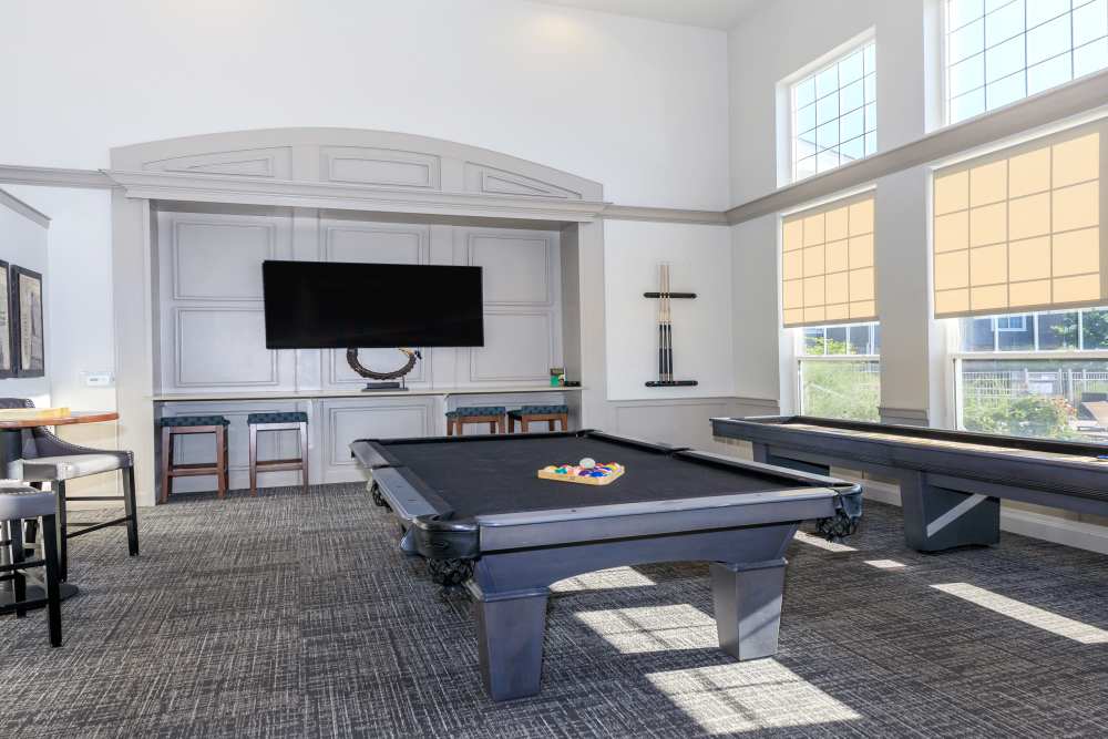 Game room with pool ball and TV set up at Panorama at Arvada Ridge in Arvada,Colorado
