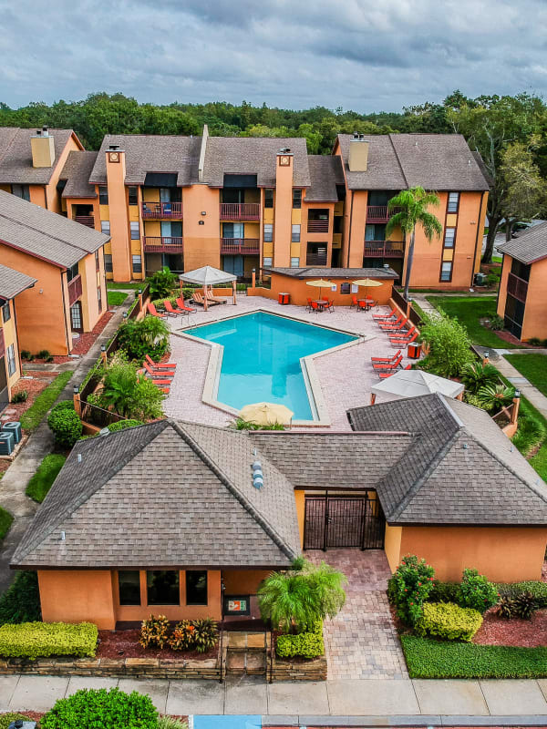 Resort-Style Swimming Pool at Waterstone At Carrollwood in Tampa, Florida