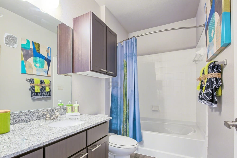 Bright and cheery model bathroom with dark cabinetry at Creekside at Kenney's Fort in Round Rock, Texas