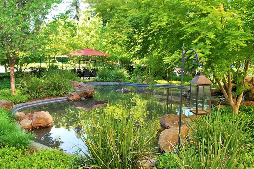 Pond Area at Winding Commons Senior Living in Carmichael, California
