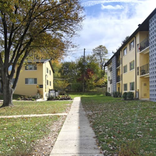 Walkway with grass on either side outside at Chelsea Park in Gaithersburg, Maryland