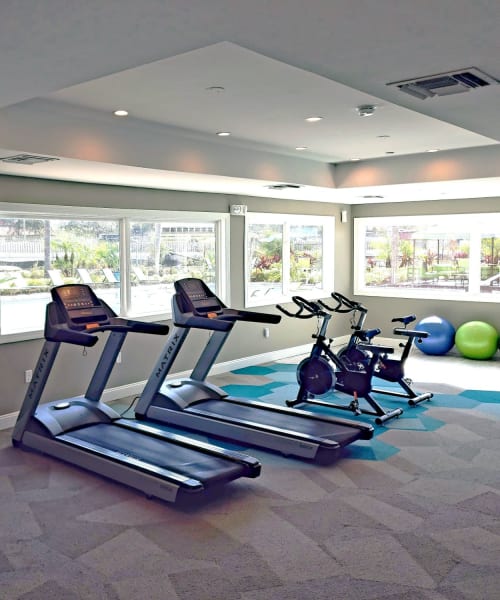 Fitness center at The Preserve at Spring Lake in Altamonte Springs, Florida