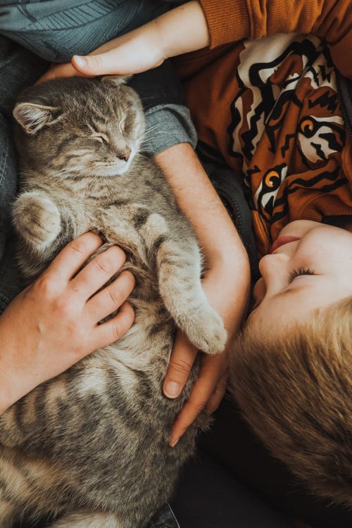 Resident petting their kitten at Parallel 36 at Legacy in Opelika, Alabama