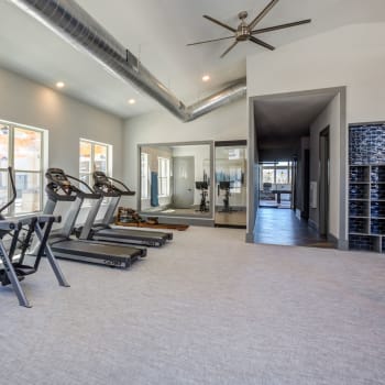 Luxurious gym at Senita on Cave Creek in Phoenix, Arizona