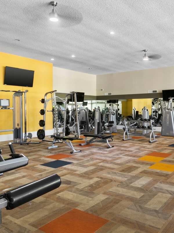 Fully-equipped gym with treadmills, weight machines, and flat-screen television at Sono Tempe in Tempe, Arizona