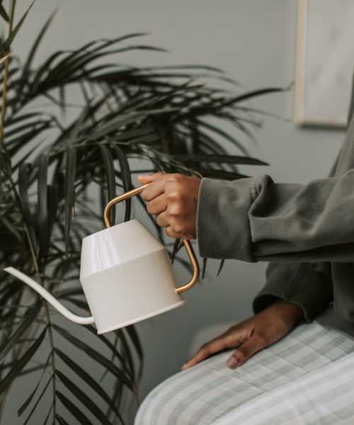 Resident watering his plant at Studio Park Lofts & Tower in Grand Rapids, Michigan