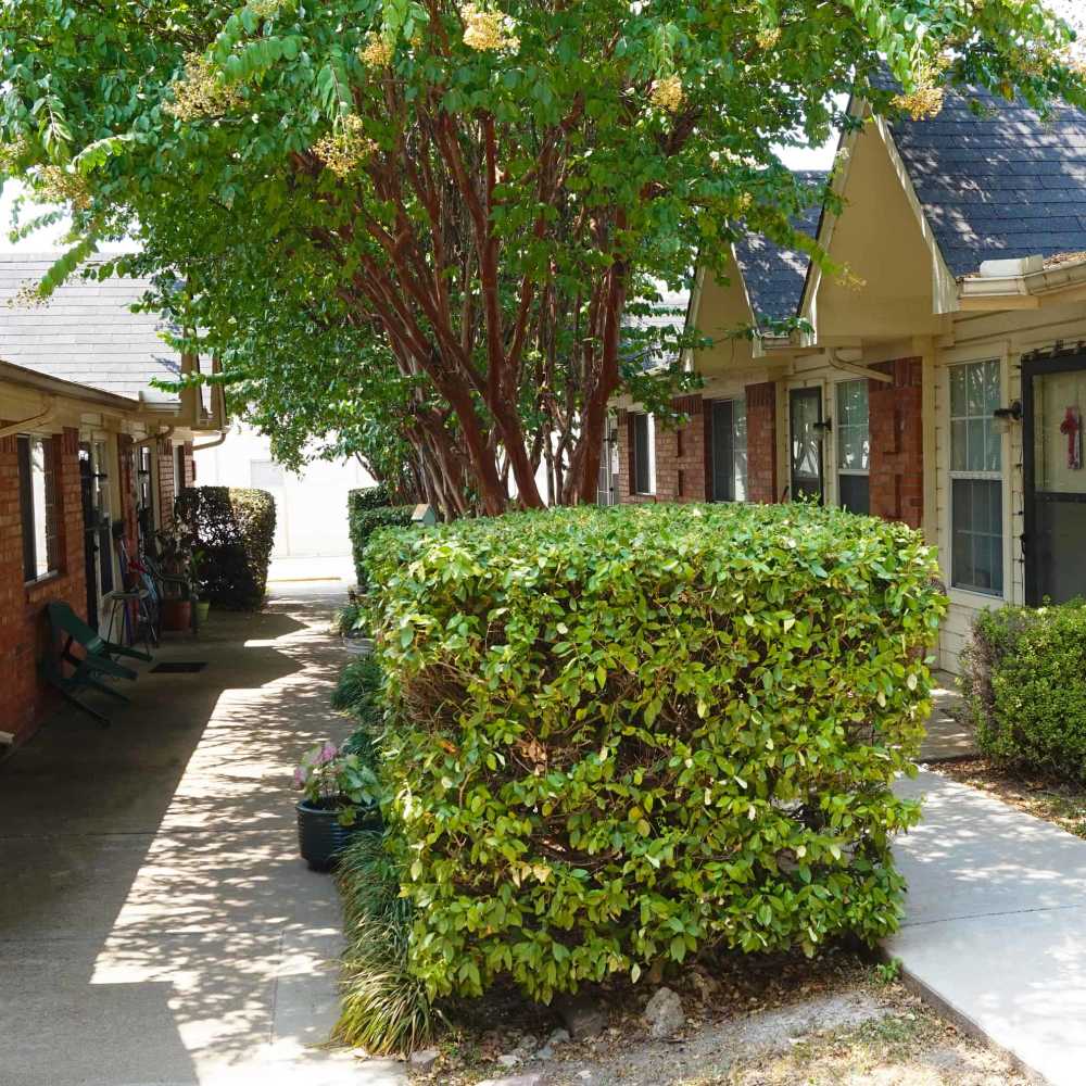 Lush greenery lining cozy brick apartments with shaded pathways at The Parc at Bakers Pointe in Richland Hills, Texas