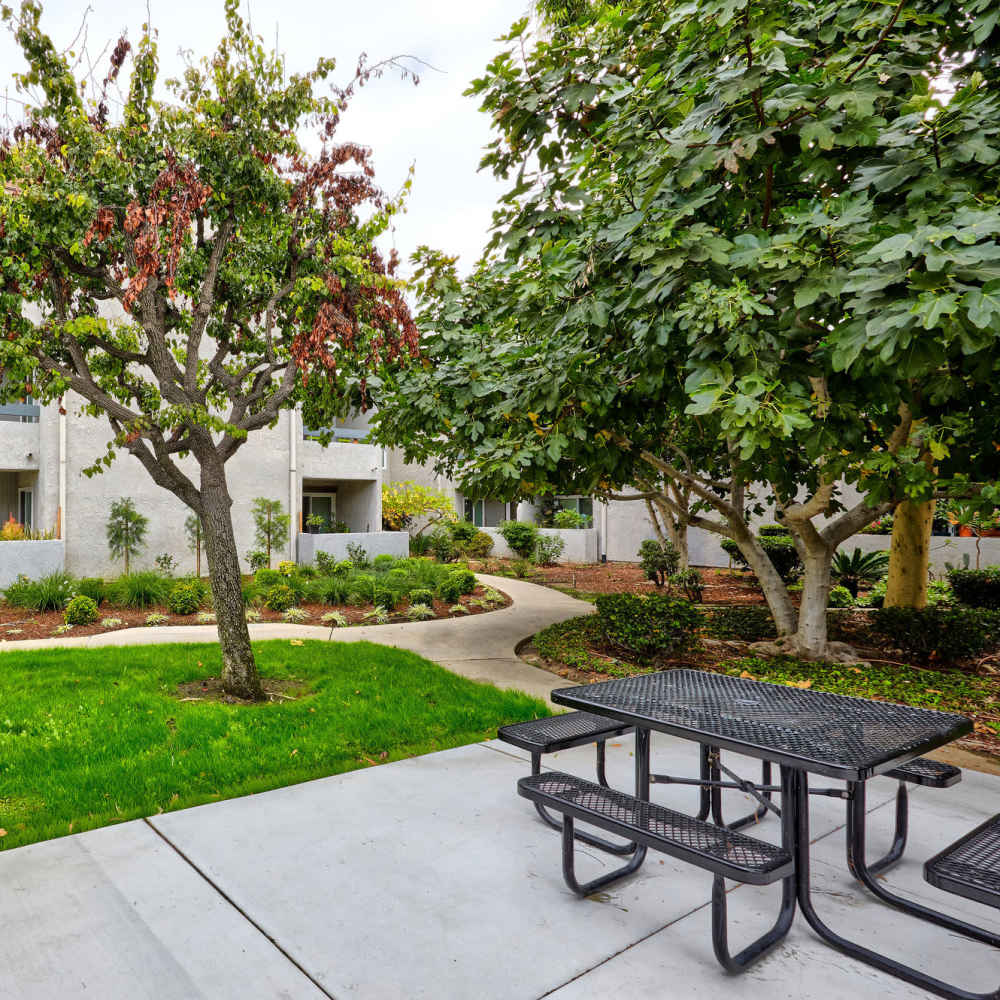 View of apartments with walkway and seating area at Acacia Villa in Garden Grove, California, 