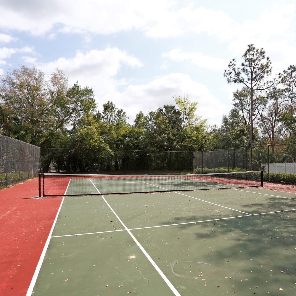 A tennis court surrounded by beautiful trees at Southern Cove Apartments in Temple Terrace, Florida