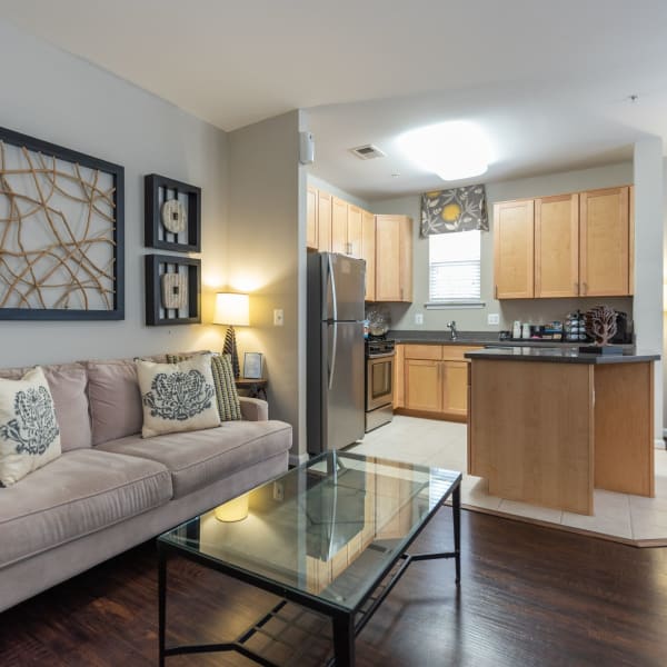 Spacious apartment at Commons on Potomac Square, Sterling, Virginia