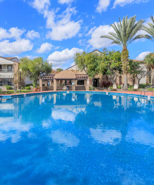 Swimming pool at Millenium Cove in Orlando, Florida