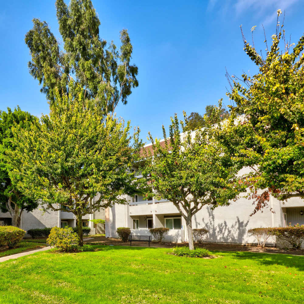 Green lawn at Acacia Villa in Garden Grove, California, 