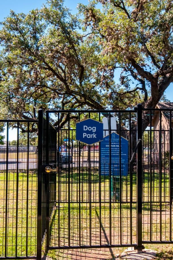 Green grass at the fenced-in dog park at Sonterra Heights in San Antonio, Texas