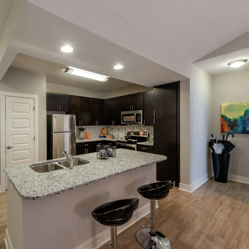 Kitchen with stainless-steel appliances and granite countertops at Infinity at Centerville Crossing, Virginia Beach, Virginia