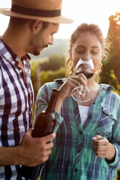 Residents enjoy a picnic with wine near Los Robles Apartments, Thousand Oaks, California