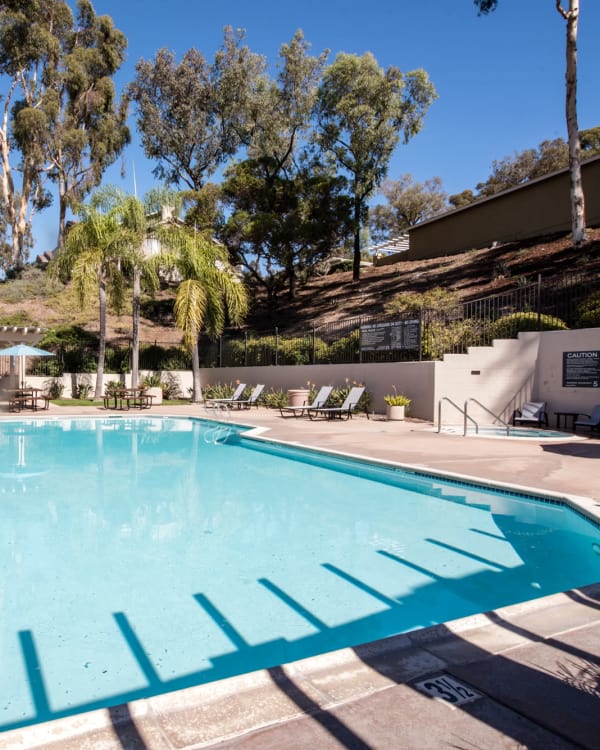 Pool at Lakeview Village Apartments in Spring Valley