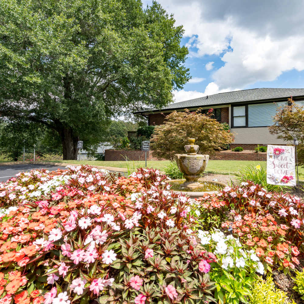 Flowers at Germantown Gardens in East Ridge, Tennessee