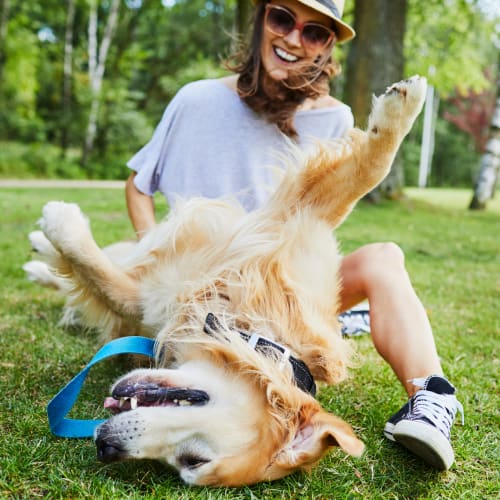 A woman and her dog at a park near Claremont Towers in Hillsborough, New Jersey