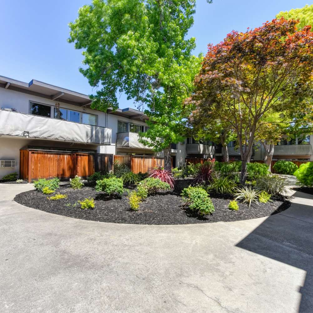 Community view with trees at Glenwood Garden Apartments in Mountain View, California