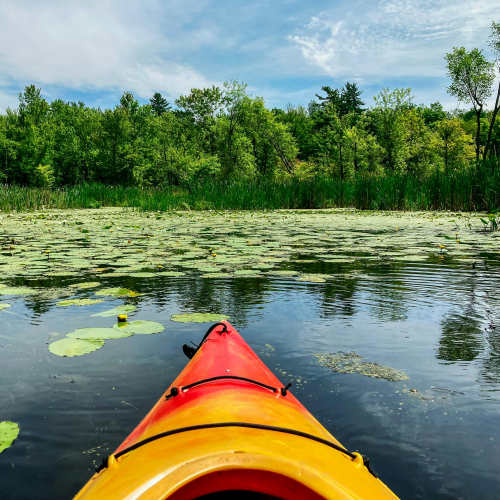 Kayak on serene pond with lily pads at American Can Apartments in New Orleans, Louisiana