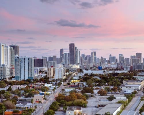 Places to eat near Aliro in North Miami, Florida