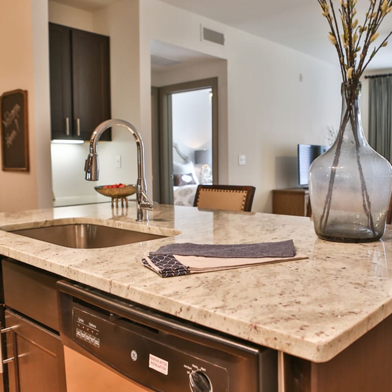 Spacious island kitchen at Alcove at Alamo Heights in San Antonio, Texas