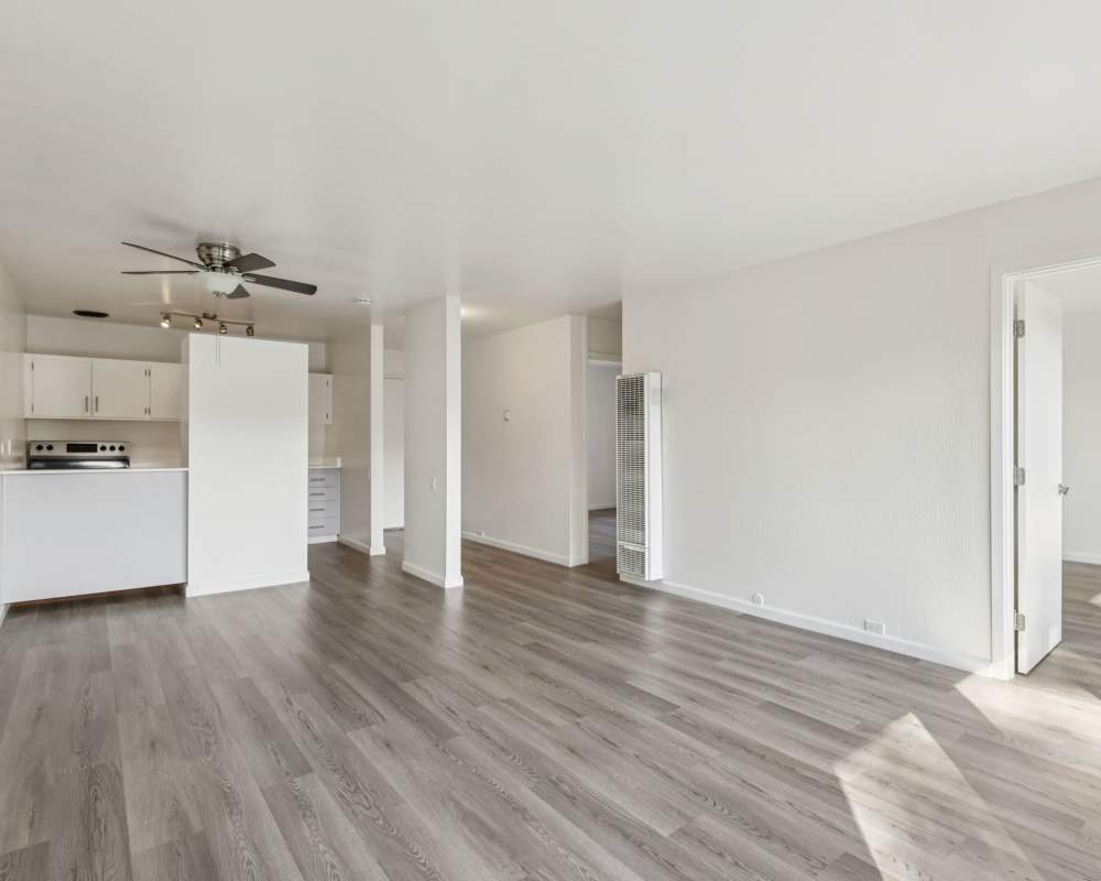 Spacious living room at 225 Clifton in Oakland, California