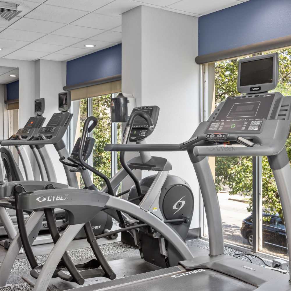 Modern fitness center featuring state-of-the-art equipment and abundant natural light at The View at Forest Park in St. Louis, Missouri 