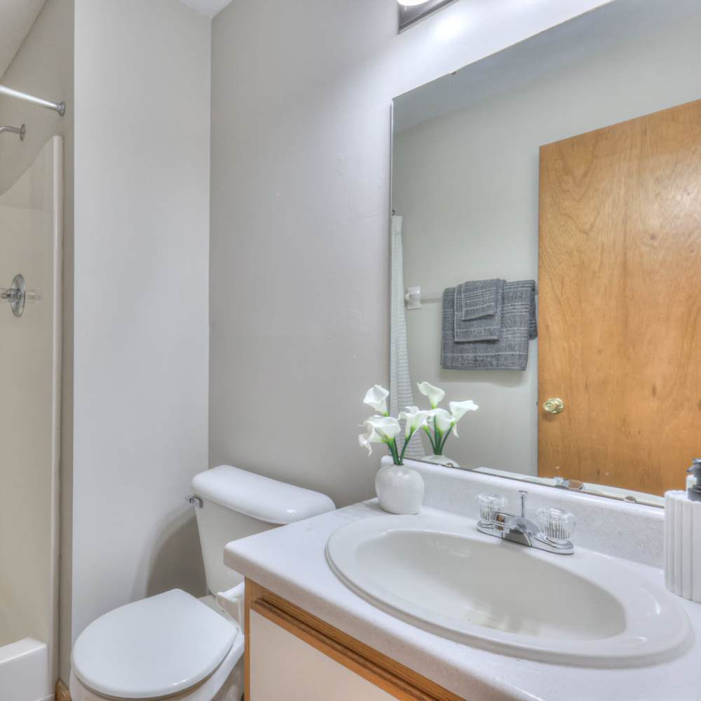 Bathroom with a large mirror at Laurel Wood Apartments in Smyrna,Tennessee
