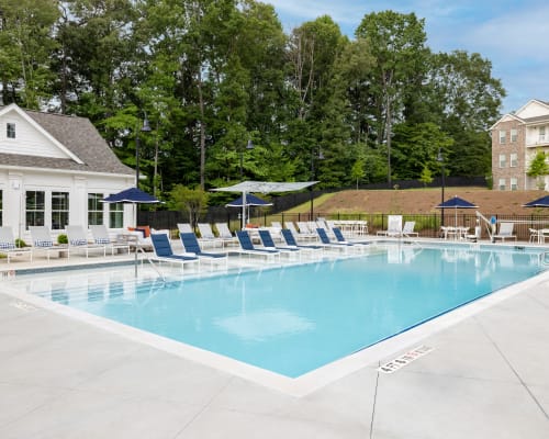 Swimming pool with palm trees at The Archer In Acworth in Acworth, Georgia