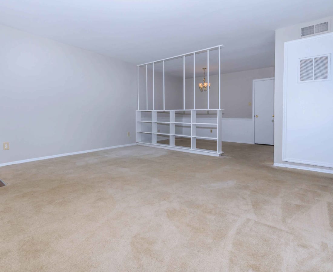 Built-in shelving in an apartment at Magnolia Gardens in Brookhaven, Georgia