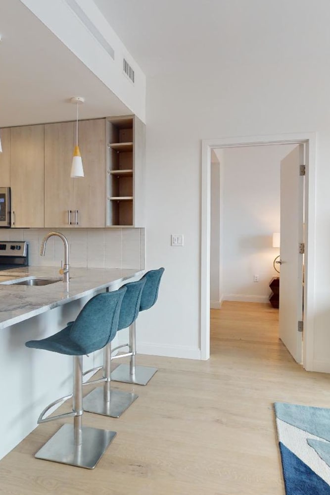 Hardwood floors in apartment homes at 55 Brighton at Packard Crossing in Boston, Massachusetts