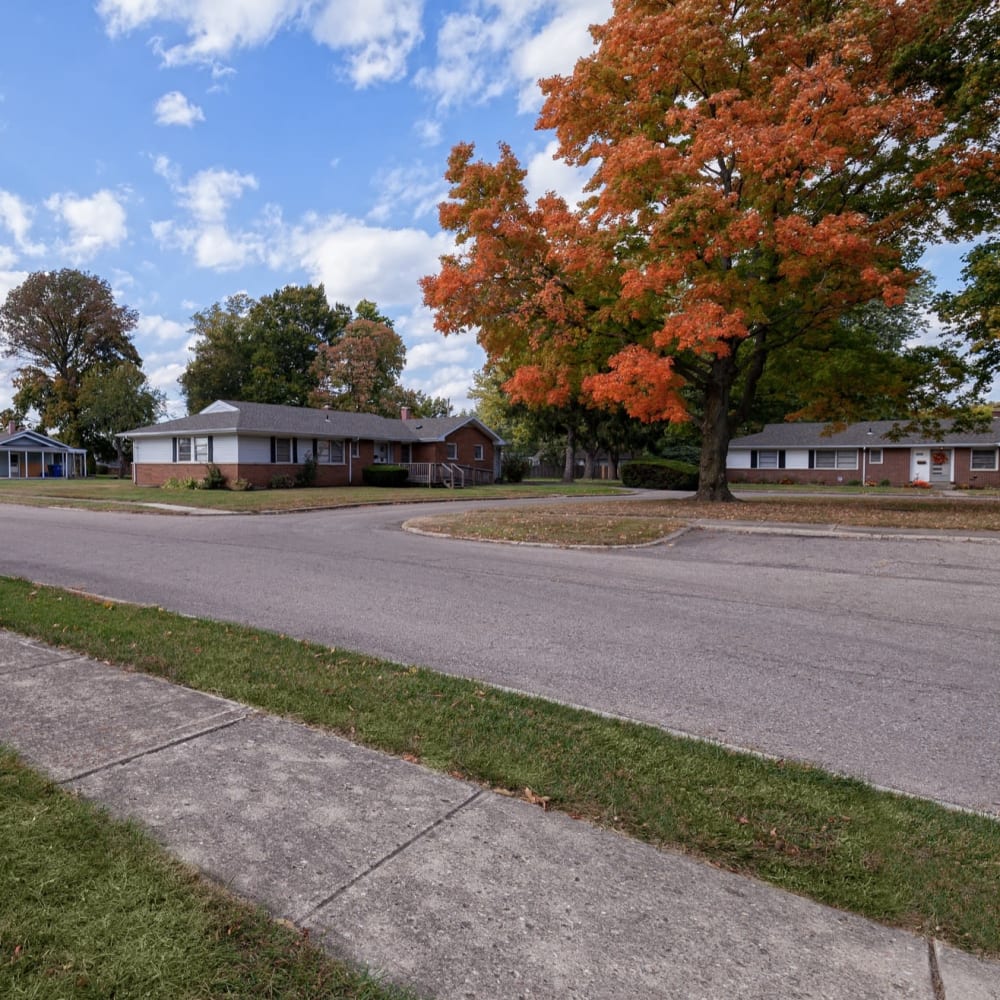 Street with changing trees at Steeplechase Village in Columbus, Ohio