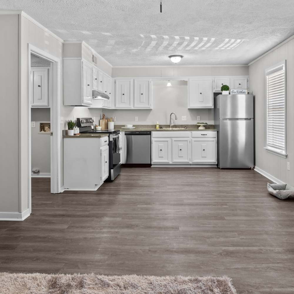 Charming modern kitchen with sleek appliances and abundant natural light at Pecan Ridge in Vicksburg, Mississippi.