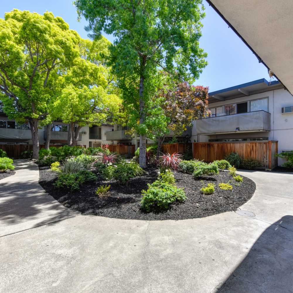 A vibrant community landscape featuring trees at Glenwood Garden Apartments in Mountain View, California