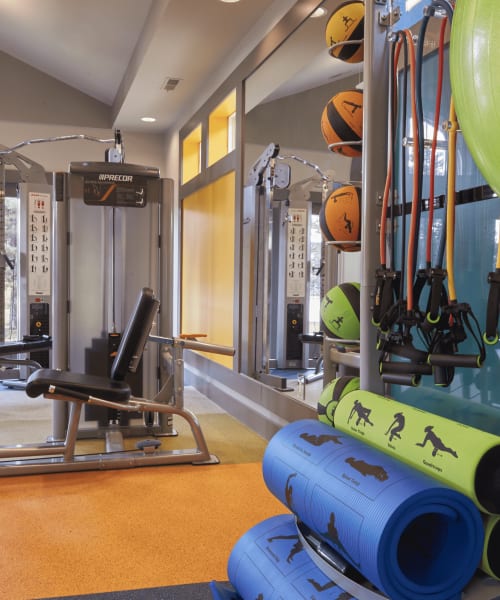 Fully-equipped fitness center at Lakeside Terraces in Sterling Heights, Michigan