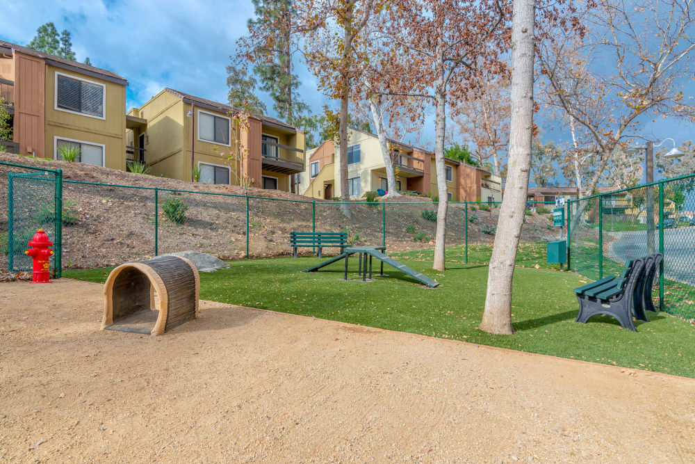 Dog Park at Sycamore Canyons Apartments in Riverside, California