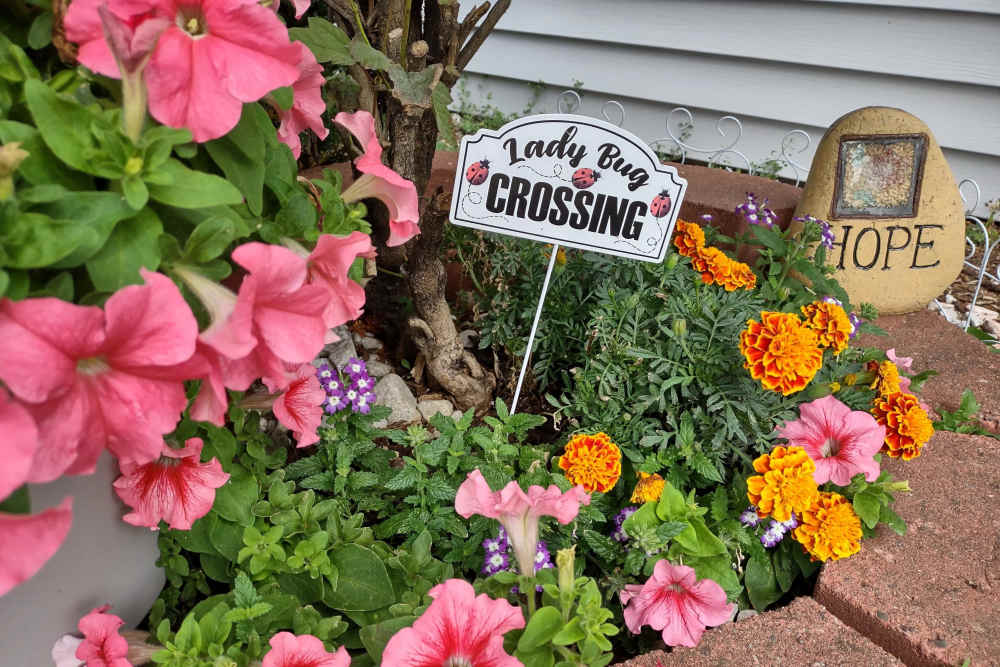 Beautiful flower plants at Willow Creek Apartments in Escanaba Michigan