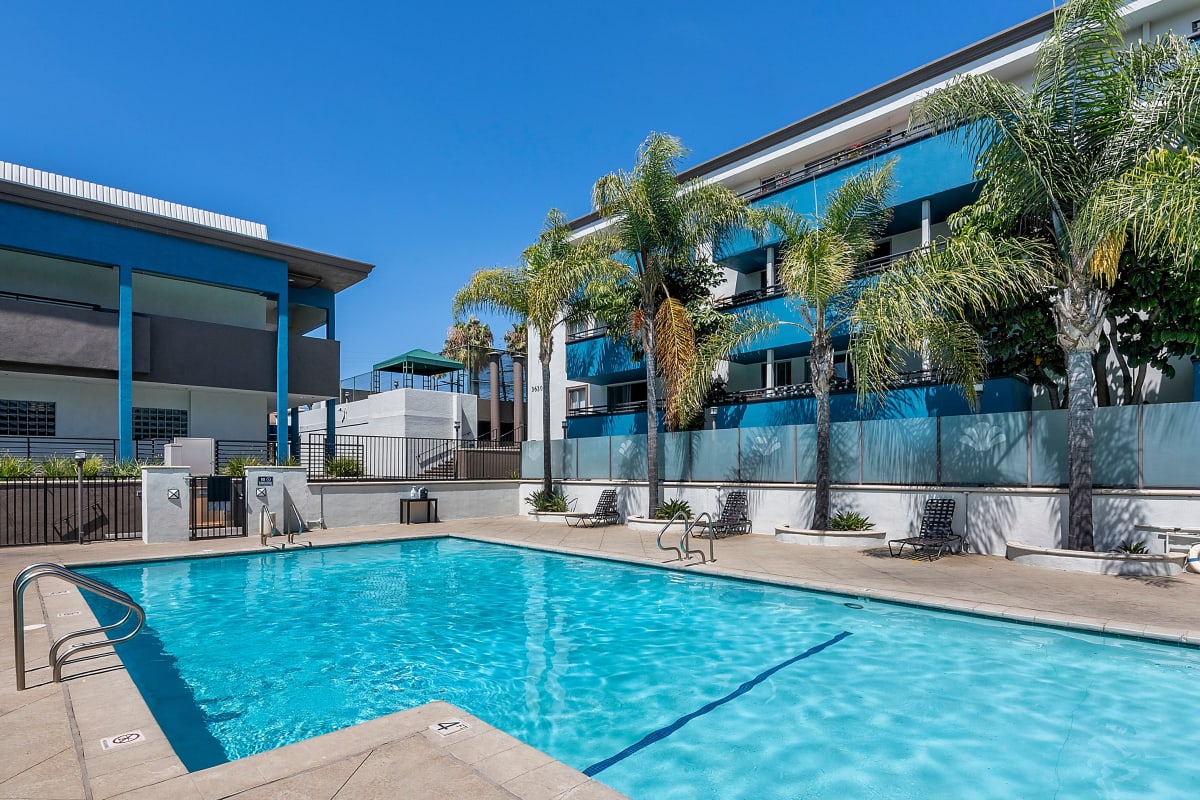 Pool surrounded by palm trees at Westside Terrace, Los Angeles, California