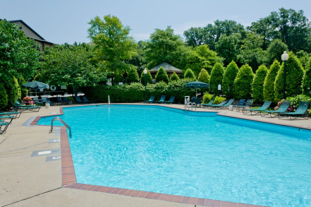 Enjoy a shimmering pool at Pinnacle Heights