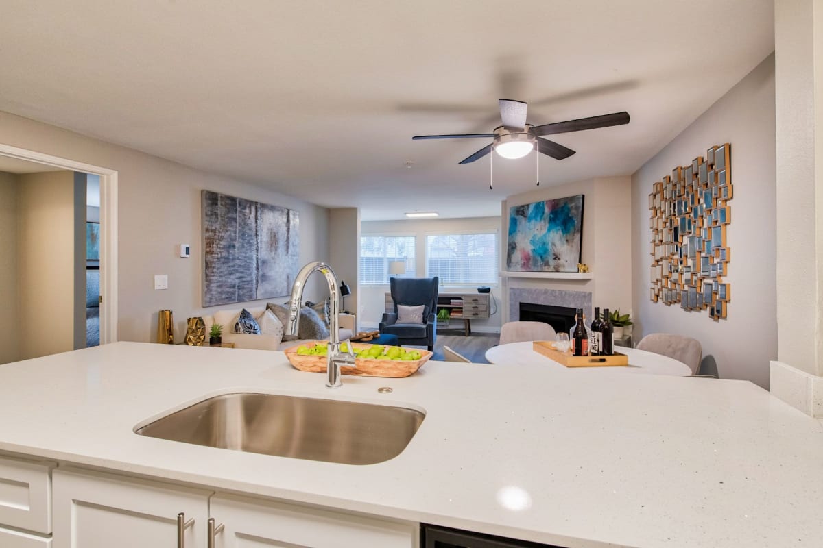 Kitchen with stainless-steel faucet and sink at Indigo Springs, Kent, Washington