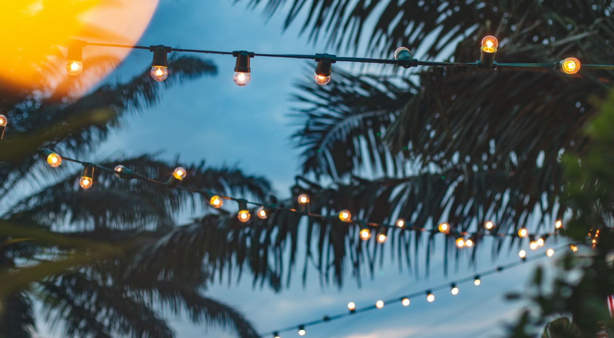 Lights and palm trees at Annalise Glen Creek in Bradenton, Florida