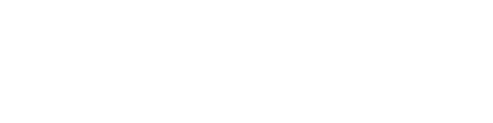 Texan 26 logo