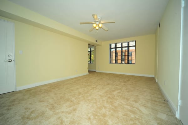 Large living areas at Montgomery Arms Apartments