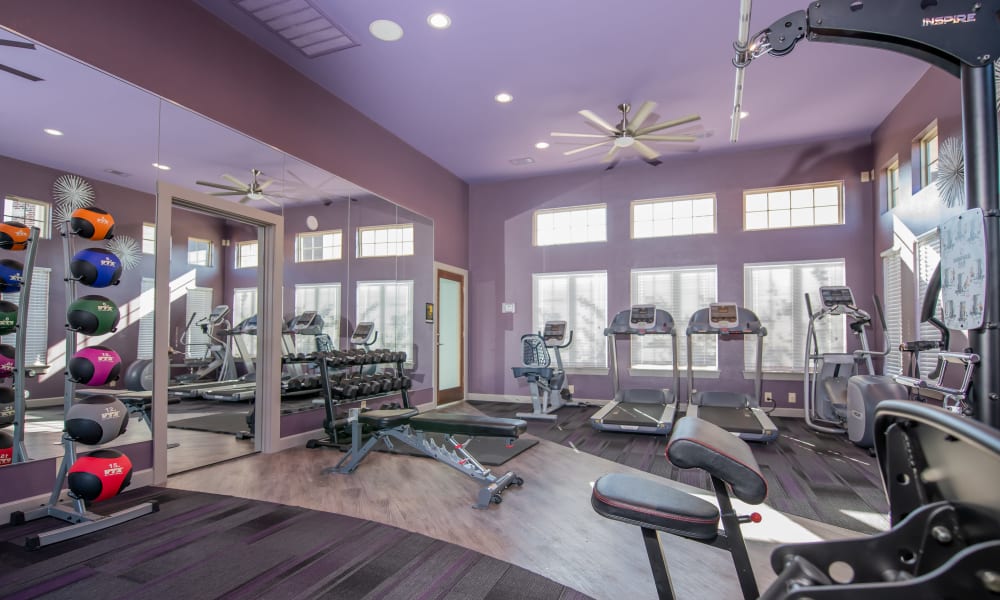 Gym at Portico at Friars Creek Apartments in Temple, Texas