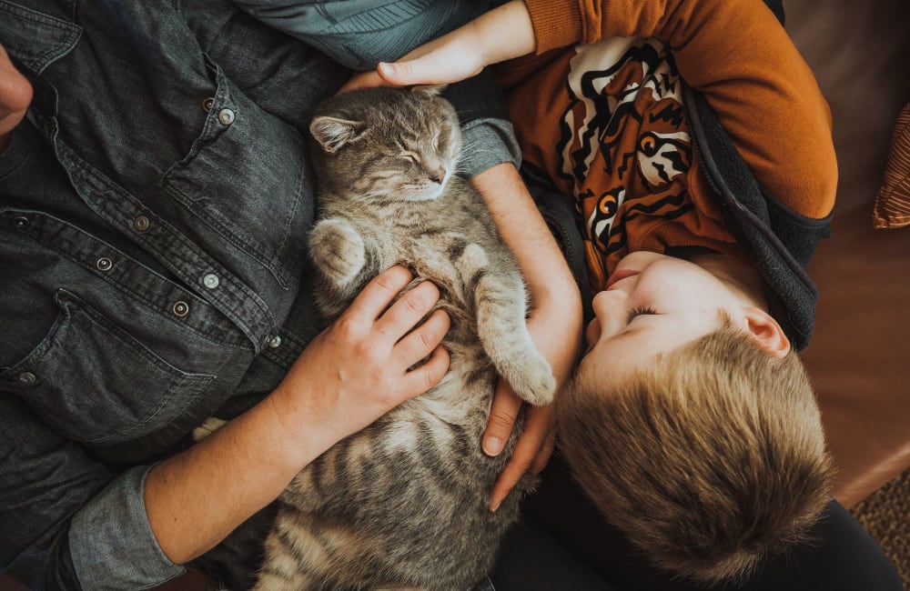 Residents snuggling their cat at Miraflores Apartments in El Centro, California