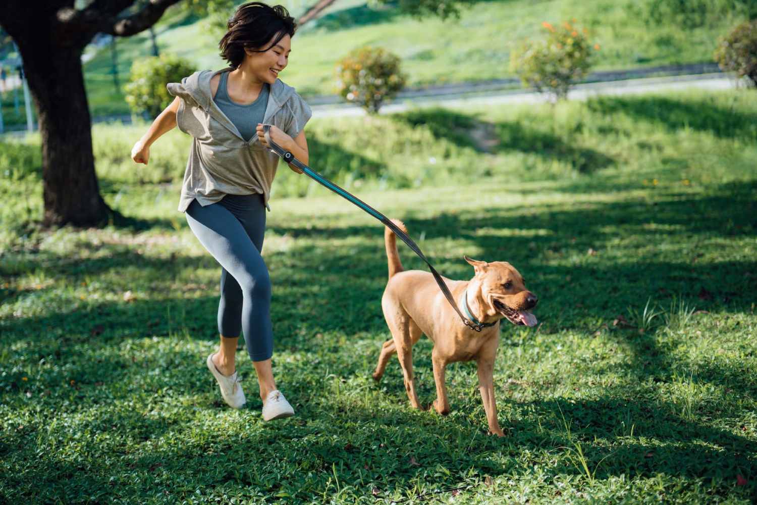 Resident with her pet going on a walk at Green Tree Place in Houston, Texas