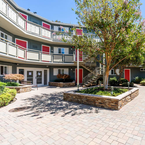 Courtyard and apartment building exterior at Pinebrook Apartments in Fremont, California