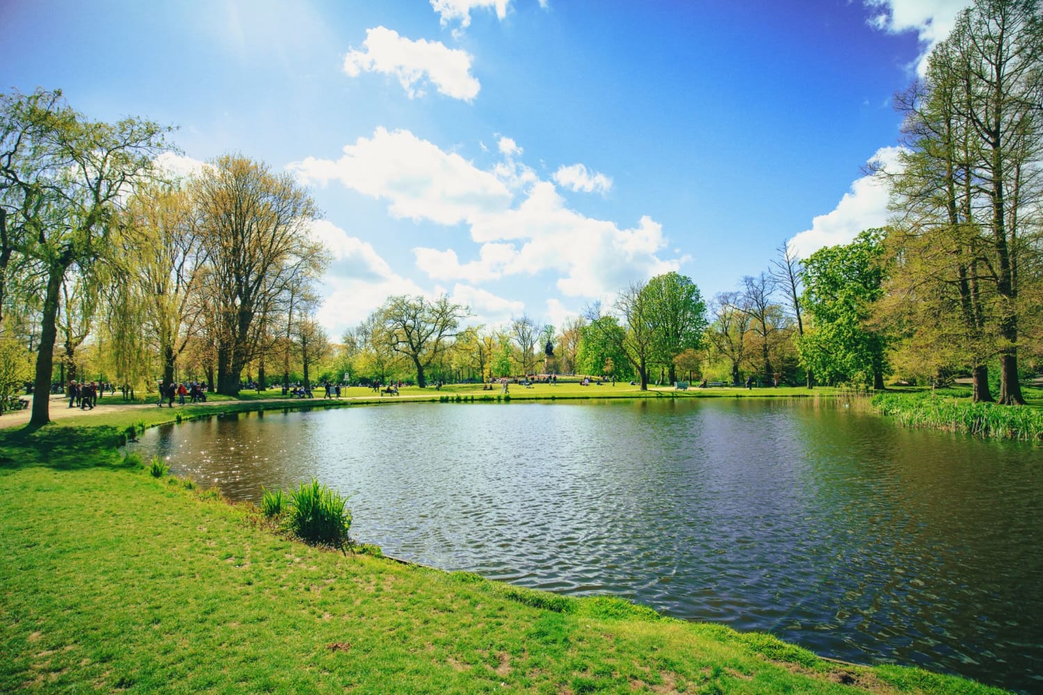 Residents walking through park with large pond near Watersedge in Champaign, Illinois